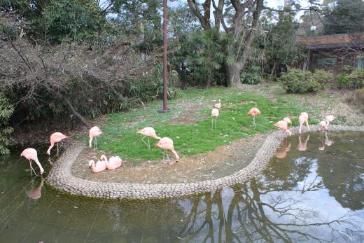 万力公園ふれあい動物広場8