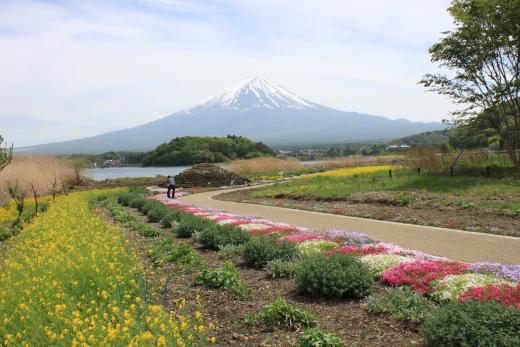 大石公園の花街道2