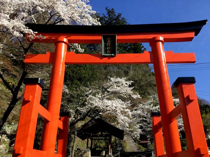 ざく 神社 かな ら