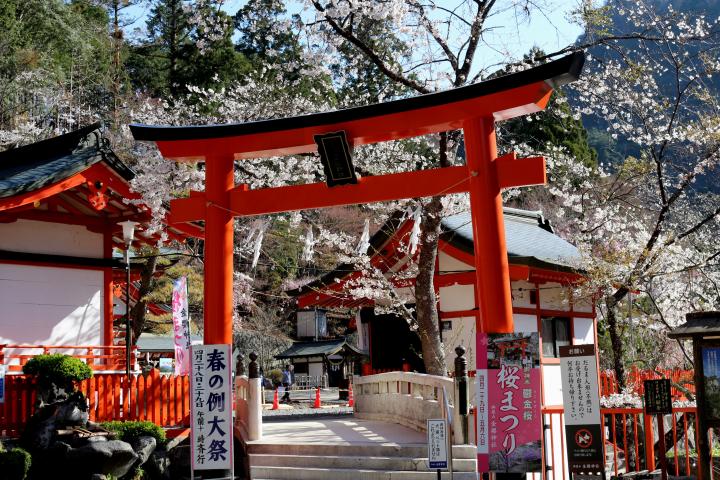 ざく 神社 かな ら