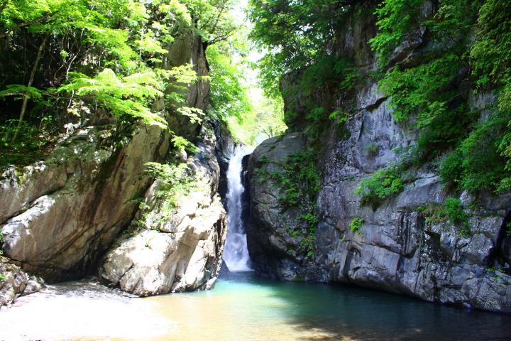 祭 山梨 ばく