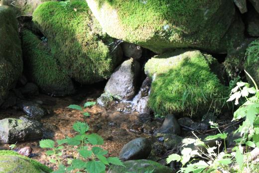 井詰湧水 富士の国やまなし観光ネット 山梨県公式観光情報