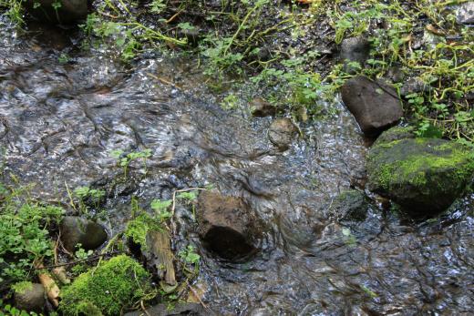 井詰湧水 富士の国やまなし観光ネット 山梨県公式観光情報