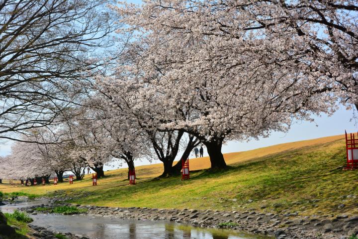 信玄堤 富士の国やまなし観光ネット 山梨県公式観光情報