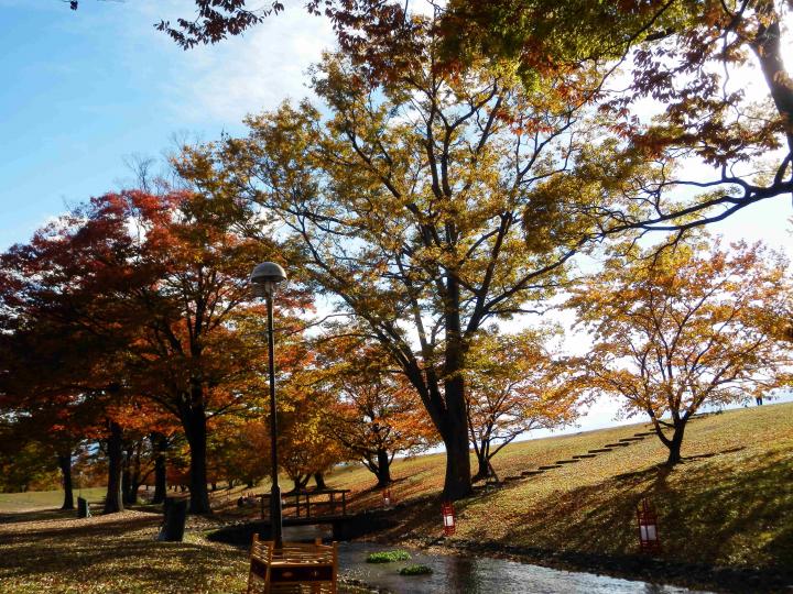 信玄堤 富士の国やまなし観光ネット 山梨県公式観光情報