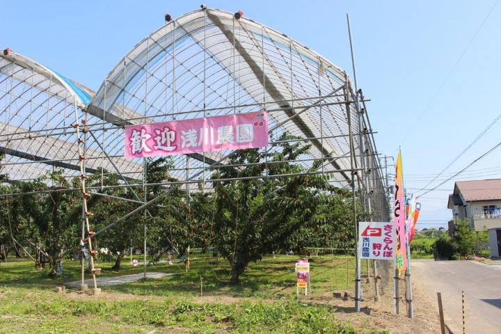 浅川農園