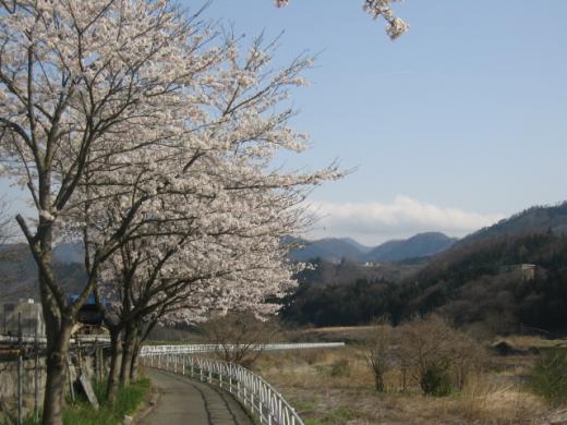 葛野川サイクリングロード