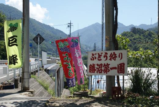 勝沼第一葡萄園