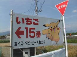 ストロベリーファーム石原_2