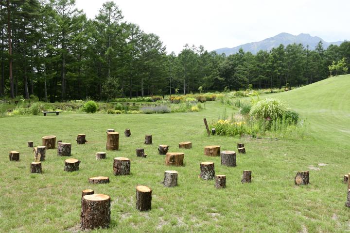 丘の公園ヒルズガーデン