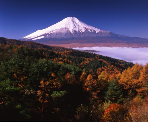 二十曲峠 富士の国やまなし観光ネット 山梨県公式観光情報