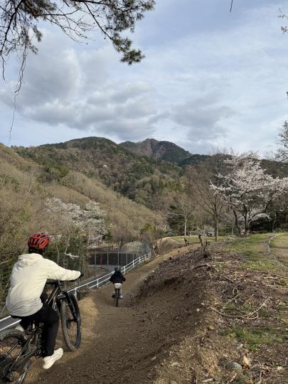 市川公園