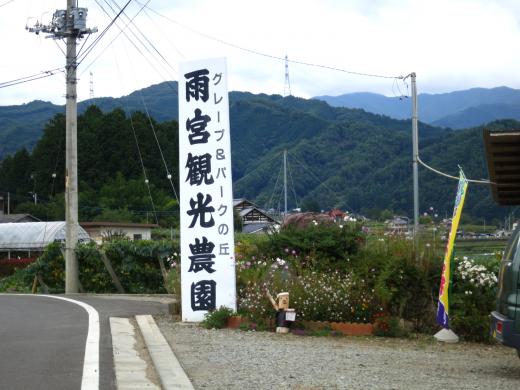 雨宮観光農園1