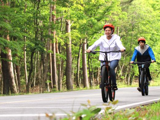 BonVelo