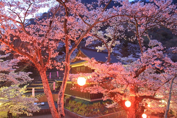 夜桜ライトアップ 岩殿山