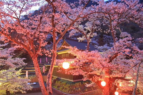 夜桜ライトアップ 関連情報 富士の国やまなし観光ネット 山梨県公式観光情報