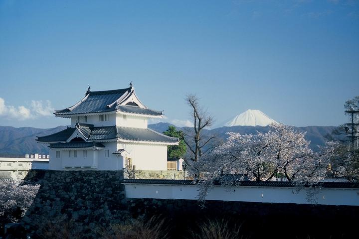 富士山と桜 舞鶴城公園