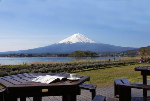 河口湖自然生活館 富士の国やまなし観光ネット 山梨県公式観光情報