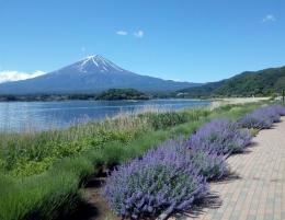河口湖自然生活館 富士の国やまなし観光ネット 山梨県公式観光情報