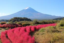 河口湖自然生活館 富士の国やまなし観光ネット 山梨県公式観光情報