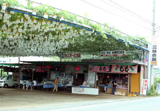 三枝農園