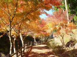 神鈴の滝遊歩道