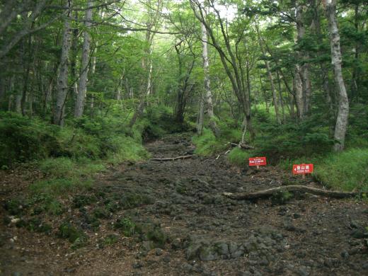 須走口登山道1