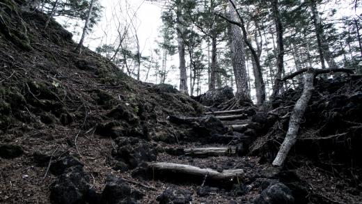 須走口登山道2