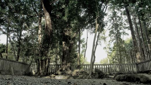 山宮浅間神社2