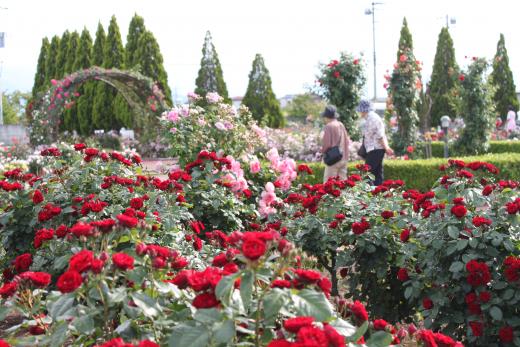 みんなの憩いの場となっています。