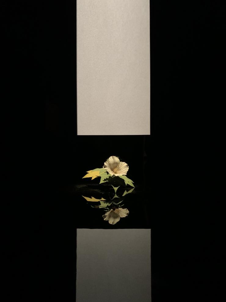 須田悦弘《芙蓉》2012年 千葉市美術館寄託