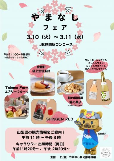 JR静岡駅CPポスター