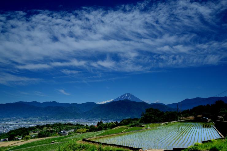 南アルプス市中野地区_春