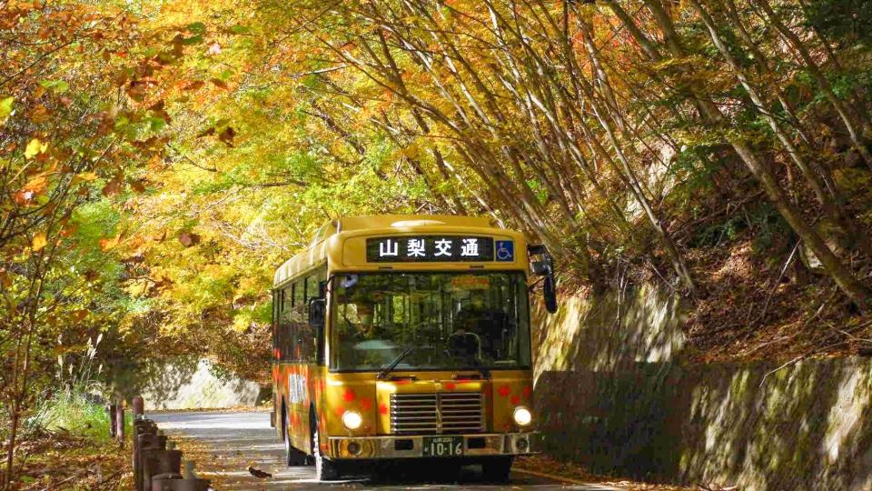 奥昇仙峡紅葉狩りバス