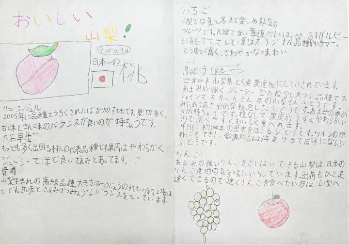 おいしい山梨 みいつけた 和歌山の小学生が作った観光パンフ 富士の国やまなし観光ネット 山梨県公式観光情報