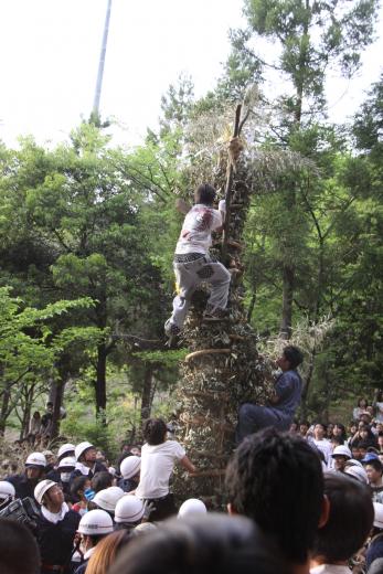 藤切り祭り6