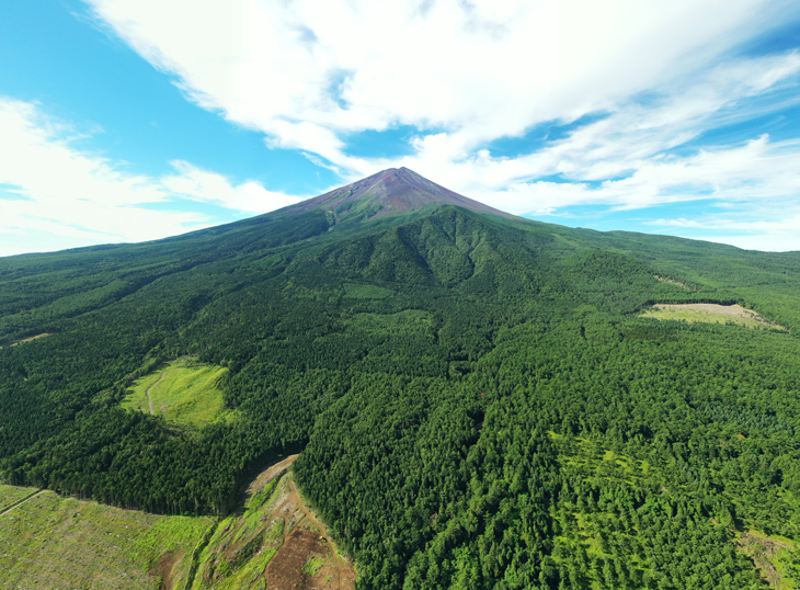 青木ヶ原樹海