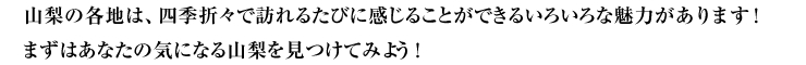 山梨の各地は、四季折々で訪れるたびに感じることができるいろいろな魅力があります！まずはあなたの気になる山梨を見つけてみよう！