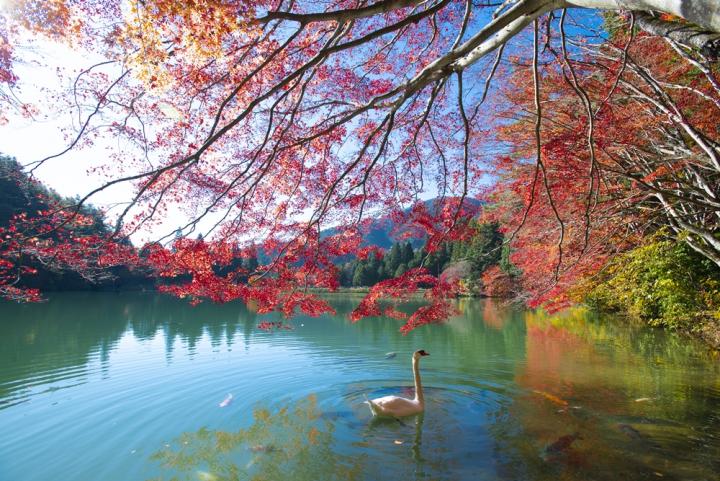 伊奈ケ湖紅葉