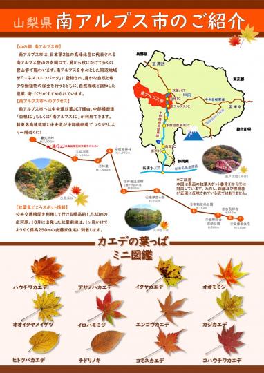 南アルプス市紅葉狩り（チラシ裏）