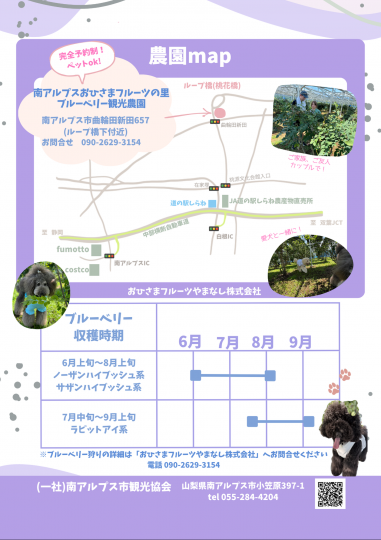 南アルプス市ブルーベリー狩り2026（農園情報）