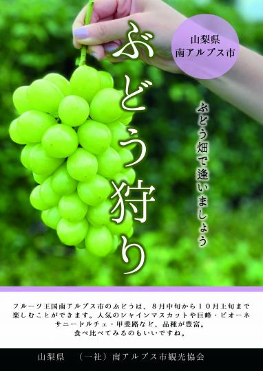 ぶどう狩りチラシ