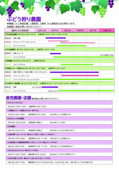 ぶどう狩りチラシ裏