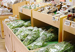 地元野菜の直売所