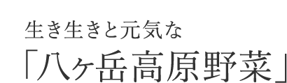 生き生きと元気な「八ヶ岳高原野菜」