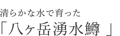 清らかな水で育った「八ヶ岳湧水鱒」