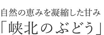 自然の恵みを凝縮した甘み「峡北のぶどう」