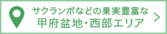 サクランボなどの果実豊富な甲府盆地・西部エリア