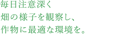 毎日注意深く畑の様子を観察し、作物に最適な環境を。