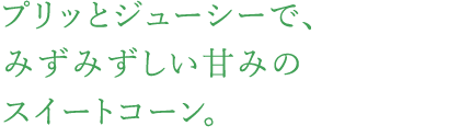 プリッとジューシーで、みずみずしい甘みのスイートコーン。